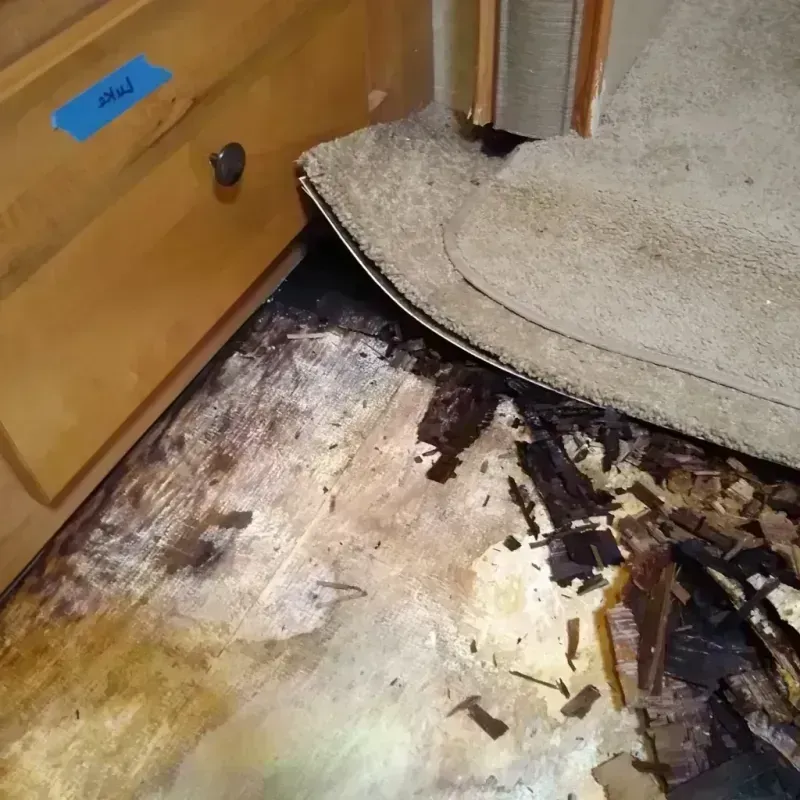 Wood Floor Water Damage in Clinton, NY